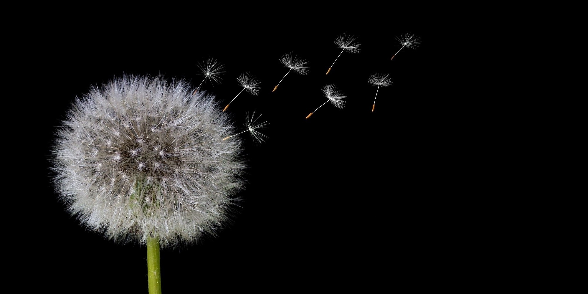 Featured image for “Knowing which way the wind is blowing”